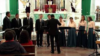 Capella Cantorum  Exsultate Justi Ludovico La Daviana [upl. by Fitts]