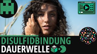 Dauerwelle Disulfidbindung │Biologie Lernvideo Learning Level Up [upl. by Deonne]