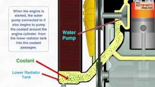 How Car Cooling System Works [upl. by Roland242]