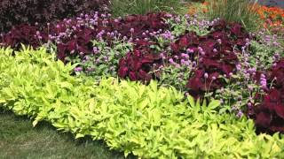 Garden Landscape  How to Design a Garden [upl. by Tod132]