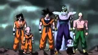 Dragonball Z Cha la Head Cha La Full german OP [upl. by Pompei366]