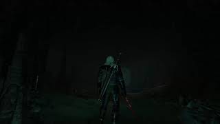 The Witcher 3 Wild Hunt  Skellige Cave Ambient Music [upl. by Eelyrag896]