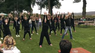 Tanzschule Tanztraum  Flashmob Heiratsantrag [upl. by Ayokahs78]