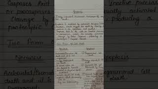 Apoptosis programmed cell death। cell biology [upl. by Adnarram90]