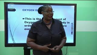 SS CAPE Biology Review  Respiration ReviewAnaerobic Respiration UNIT 2 MODULE 1  PT 2 of 2 [upl. by Nodnelg]