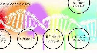 DNA 2 La doppia elica [upl. by Tezzil350]