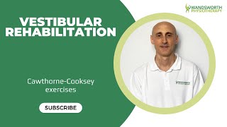 Vestibular rehabilitation [upl. by Ekim840]