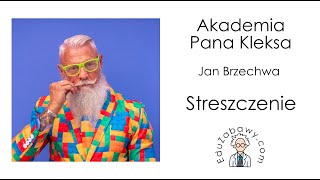 Akademia Pana Kleksa  streszczenie lektury [upl. by Anidualc]