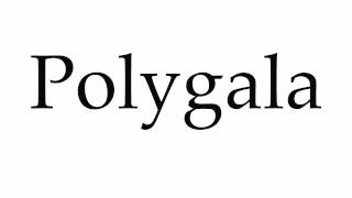 How to Pronounce Polygala [upl. by Eelah]