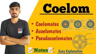 Coelom amp Its Types In Hindi  Coelomates  Acoelomates  Pseudocoelomates  By Dadhich Sir [upl. by Ketti]