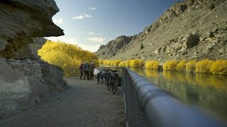 Roxburgh Gorge Cycle Trail  Cycle Central Otago  New Zealand [upl. by Allekim]