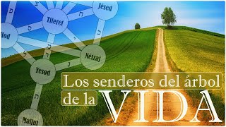 🌿 los SENDEROS del ÁRBOL de la VIDA 🌿 ANÁLISIS de las LETRAS HEBREAS y el UNIVERSO [upl. by Lloyd]