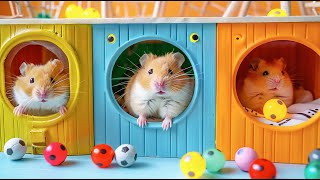 Hamster Escapes the DIY Minecraft Maze Adventure 🐹 Hamster Maze [upl. by Noevart]