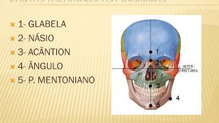 CRÂNIO E FACE POSICIONAMENTO RADIOLÓGICO [upl. by Wadleigh]