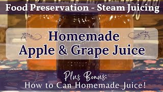 Homemade Apple amp Grape Juice  Steam Juicing  How to Easily Make Homemade Juice with a Steam Juicer [upl. by Apostles]