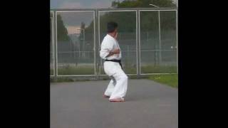 Bassai Dai kyokushin kata 抜塞大 [upl. by Ultun976]