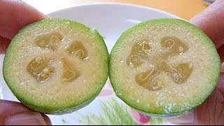 How to eat Feijoa [upl. by Lucky]