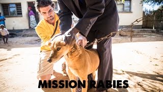 Mission Rabies Malawi [upl. by Eeldarb781]