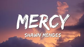 Mercy  Shawn Mendes 1 hour [upl. by Roseanne]