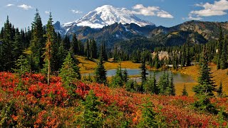 Discover Mt Rainier National Park from Seattle Washington [upl. by Ahsiel]