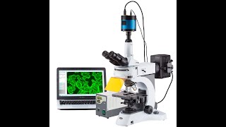 شرح المجهر الفلوريFluorescence Microscopy [upl. by Esydnac]