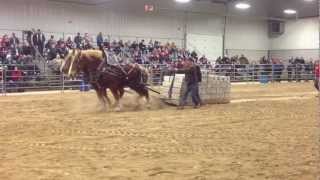 Orangeville Horses Pull 18000 lbs 2013 [upl. by Silvia500]