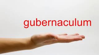 How to Pronounce gubernaculum  American English [upl. by Noisla]