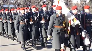 Österreichisches Bundesheer  Radetzky Militärmarsch [upl. by Trimmer840]