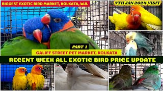 Recent Week Varieties of Exotic Bird Price Galiff Street Cheapest Exotic Bird Market 7th Jan 2024 [upl. by Polly326]