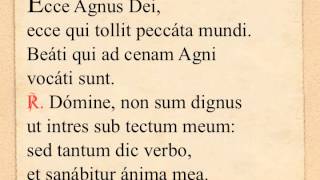 Ecce Agnus Dei [upl. by Amrak]