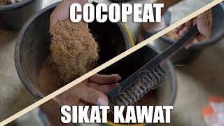 Cara membuat Cocopeat di rumah menggunakan Sikat kawat DIY COCOPEAT [upl. by Sigfried]