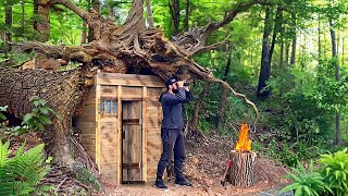 Building a fairytale hut in the roots of a fallen tree [upl. by Khano926]