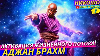 Как Убрать Лень и Апатию и Начать Наслаждаться Жизнью НИКОШО и Аджан Брахм [upl. by Yelruc]