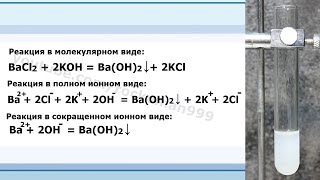 BaCl2KOHBaOH2KCl Ионное и молекулярное уравнения реакции демонстрация [upl. by Dorrehs]