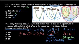 What is the Clade and Outgroup [upl. by Otsuj]