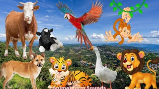 The Lives of Animals Around Us Dog Cat Cow Tiger Lion Elephant Duck Monkey  Animal Sounds [upl. by Barbaraanne]