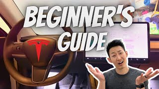 BEST Settings to Change When you FIRST get your TESLA in 2024 Beginners Guide [upl. by Sirhc314]