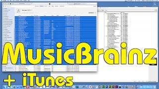 Using Musicbrainz Picard directly with your iTunes library No2 [upl. by Zoba]