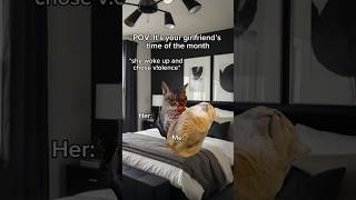 POV Your girlfriend’s time of the month cat catmemes shorts [upl. by Llenrad]