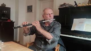 Wrong Foot Forwards Flook  basics9  flute accompaniment  melody with tin whistle  git [upl. by Llenwahs]