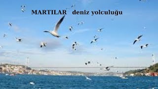 MARTILAR DENİZ YOLCULUĞU [upl. by Samella]