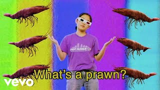 Superorganism  The Prawn Song Official Video [upl. by Ariaek905]