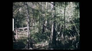 the quotBigfoot Film Oldest on Record from 1963 Louisianaquot video [upl. by Amehsyt]