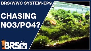 Ep9 Best nitrate and phosphate level for a reef tank   The BRSWWC System [upl. by Azeel]