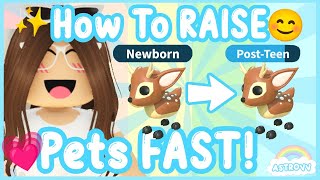 How To Raise Pets FASTER In Adopt Me Roblox  AstroVV [upl. by Ahsienar770]