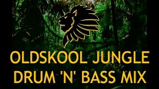 Oldskool Jungle Drum n Bass Mix 9297 [upl. by Huai]