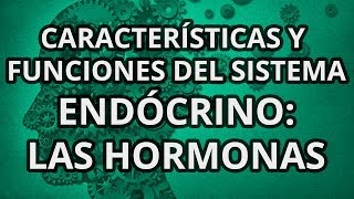 Sistema Endócrino  Principales Características y Funciones  Las hormonas [upl. by Atinele326]