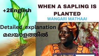 When a sapling is plantedWangari Mathaaiplustwo EnglishDetailed explanation in malayalam [upl. by Erfert550]