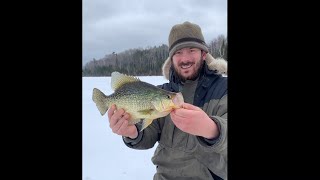 Thanksgiving Fishing and BWCAW Day Trip  Gunflint Trail Update [upl. by Nalced]