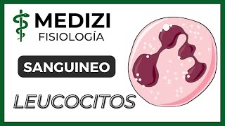 Clase 33 Fisiología Sanguínea  Leucocitos e Inflamación IGdoctorpaiva [upl. by Remmer]